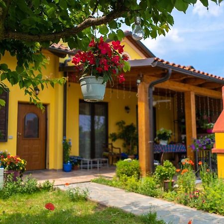 Villa Aurora Quargnento Dış mekan fotoğraf