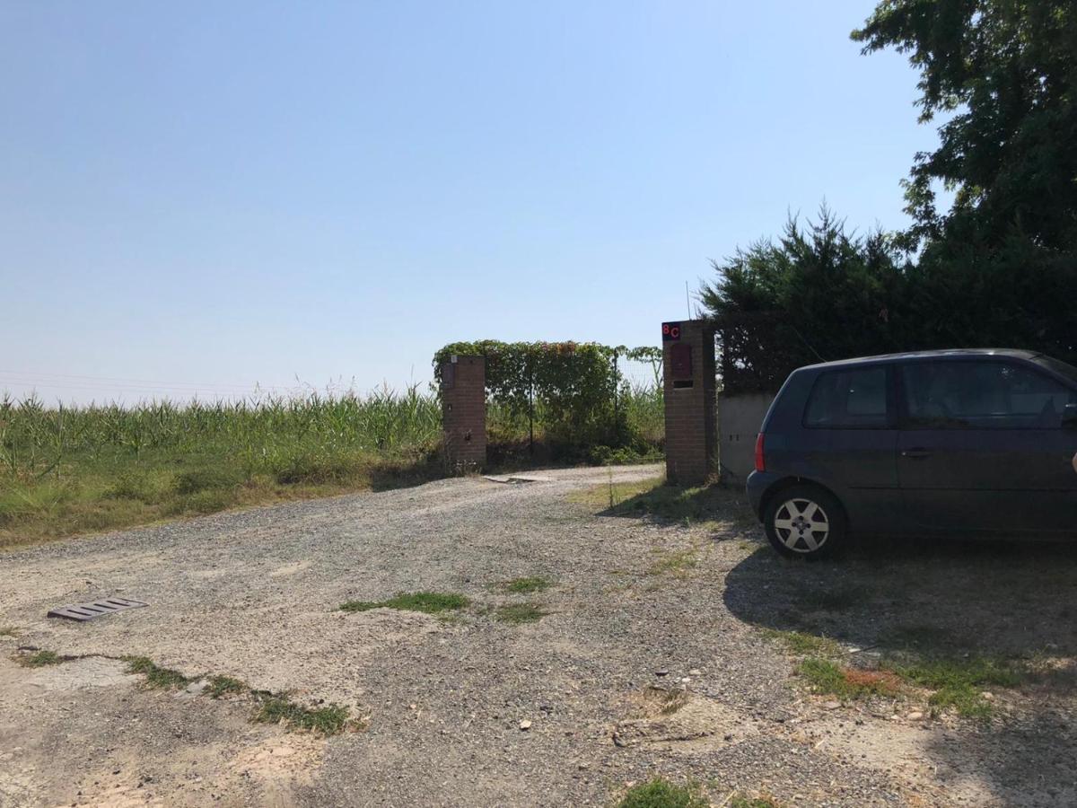 Villa Aurora Quargnento Dış mekan fotoğraf